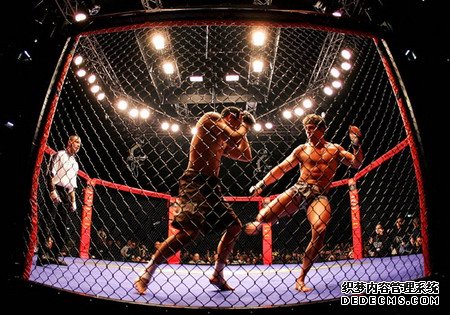 武林风青少年自由搏击“双证”培训东北站开启招募！