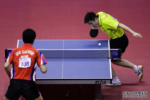 德国乒乓球名将波尔宣布退役 乒坛绅士谢幕