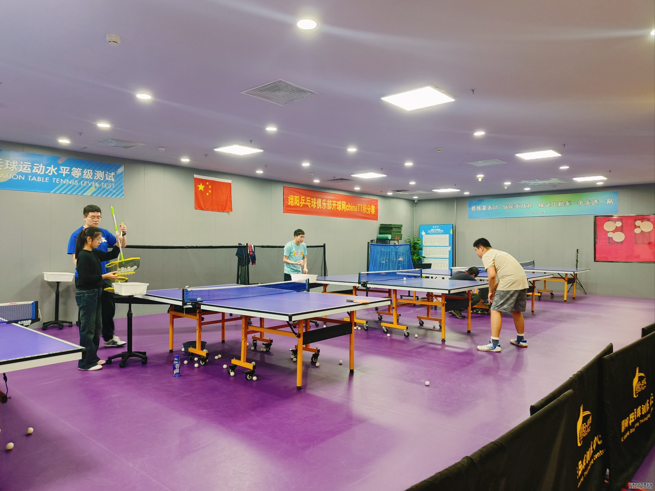 “乒”尽全力——鄂台青年乒乓球交流赛在武汉举行