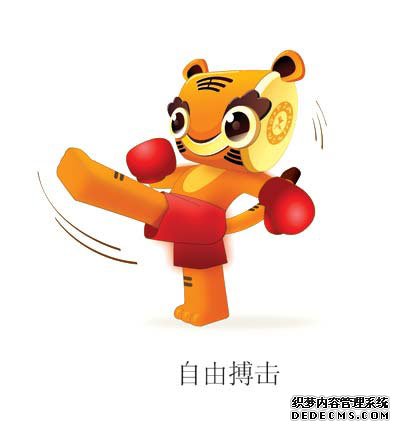 拳击搏击
