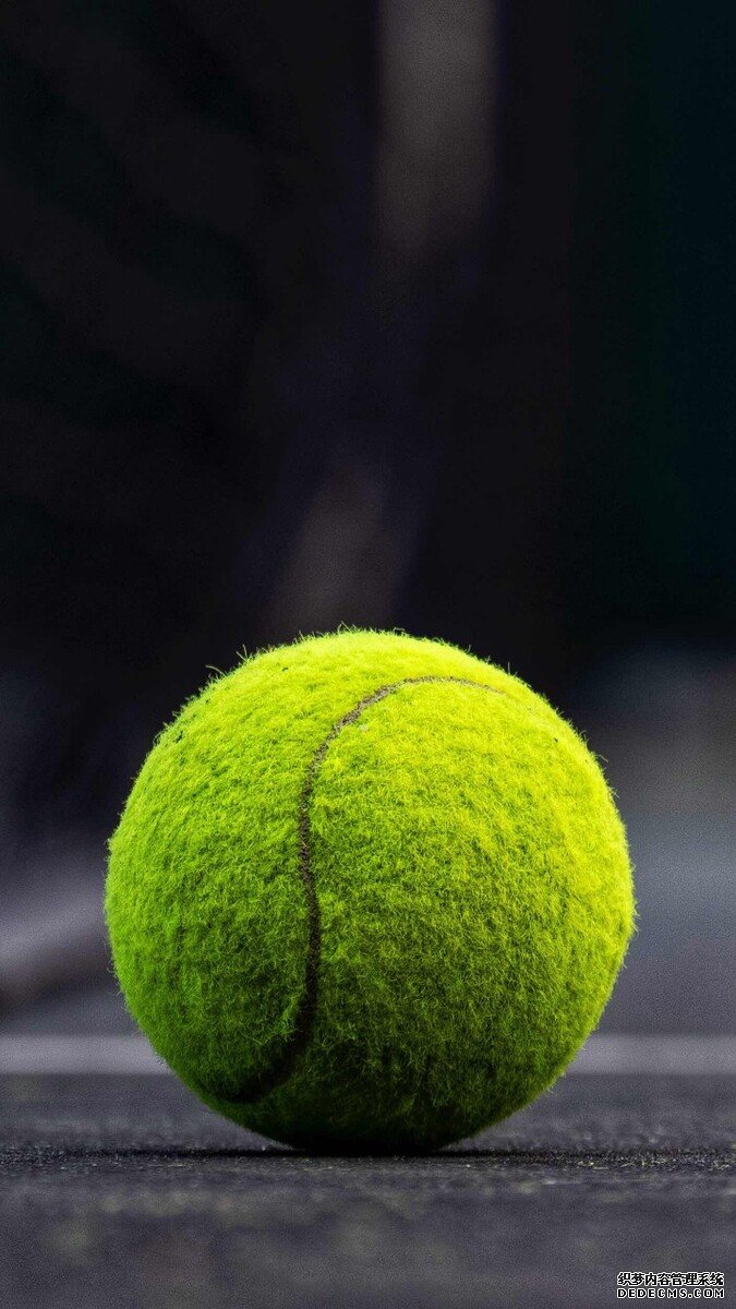 2025年国际职业男子网球挑战赛上海站(ATP100)补充通知